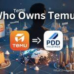 who owns temu