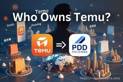 who owns temu