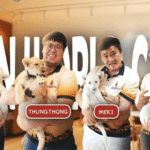 lion world café อำเภอเมืองเชียงใหม่ reviews