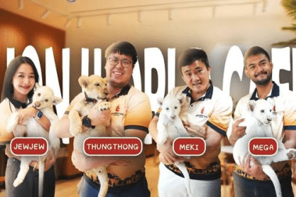lion world café อำเภอเมืองเชียงใหม่ reviews